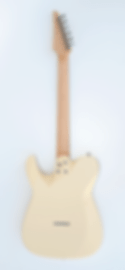 Stone-Crossroads-Custom-Shop-Lucas7